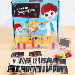 Little Scientist Logic Wooden Game